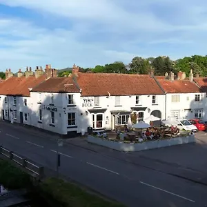 The Buck Great Ayton